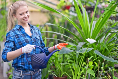 Gardener team assessing a Kings Cross garden with clipboard