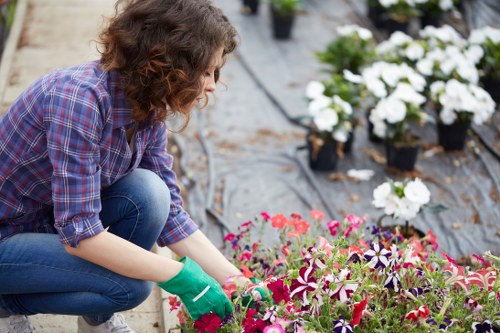 Workers performing routine garden maintenance and pruning in a communal courtyard