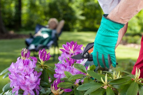 Inspection team auditing supplier documentation at a gardening site