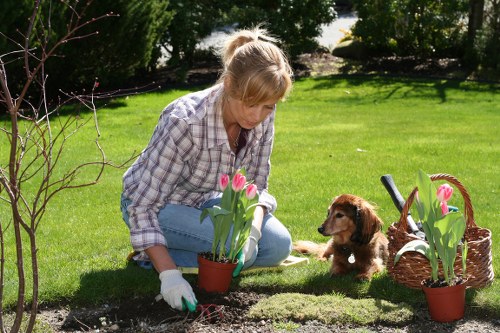 Staff member discussing garden maintenance options with a customer using large print materials