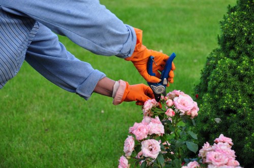 Recycling bays and labelled containers in a sustainable gardening area