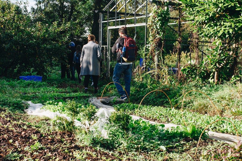 A group of people gathered in a lush, well-maintained garden, with vibrant green vegetable patches and flower beds in the foreground. The garden features raised beds with leafy greens and herbs, prote